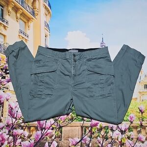Wit & Wisdom Slate Green Pants Size 14
